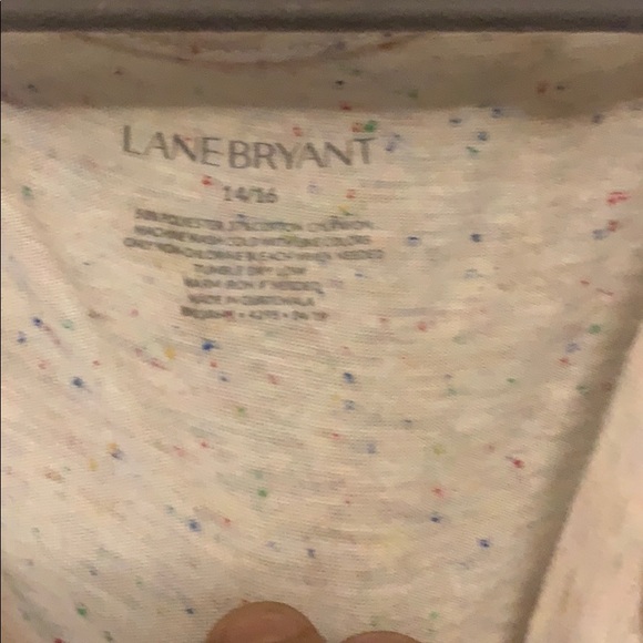 Lane Bryant - Picture 2 of 4